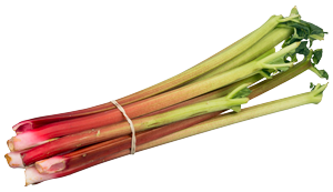 Rhubarb (Rheum rhabarbarum)
