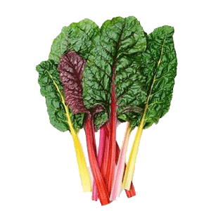 Swiss Chard