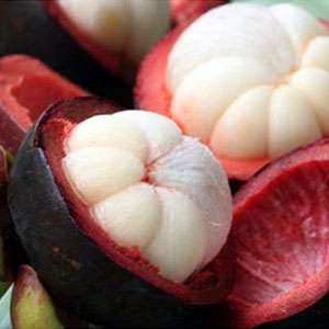 Mangosteen (Manggis)